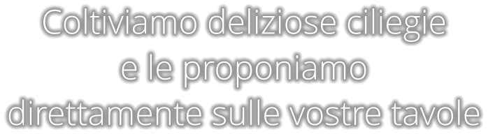 Coltiviamo deliziose ciliegie  e le proponiamo direttamente sulle vostre tavole