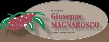 Azienda Agricola dal 1906 le prime radici cerasicole